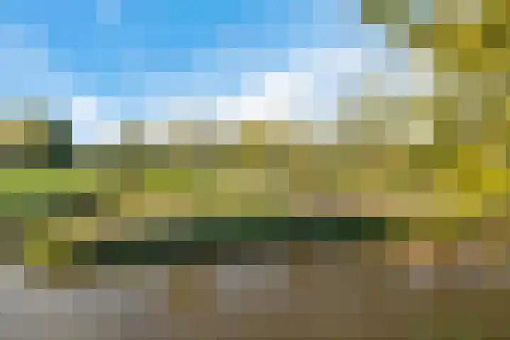 Reespoor 50 Soest thumbnail 26
