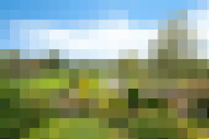 Reespoor 50 Soest thumbnail 27