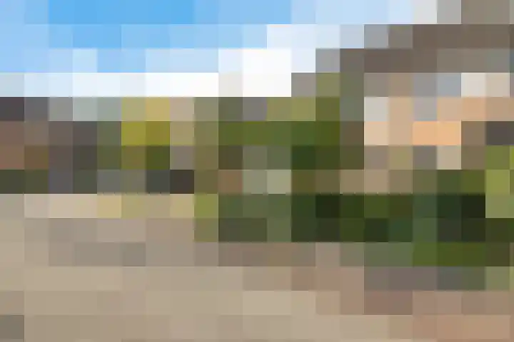 Reespoor 50 Soest thumbnail 28