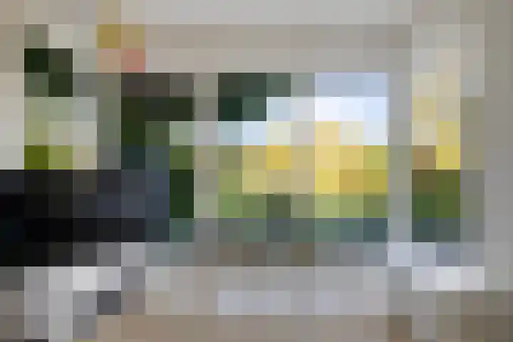 Reespoor 50 Soest thumbnail 5