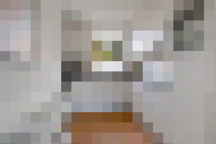 Reespoor 50 Soest thumbnail 8