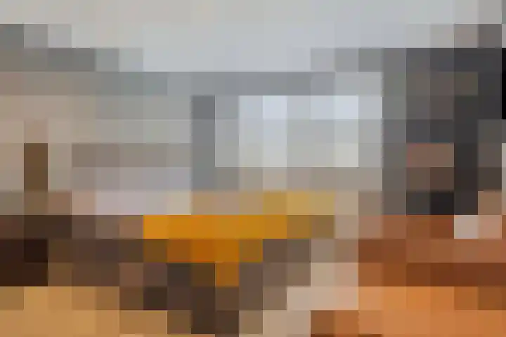 Reesstraat 24 Made thumbnail 13