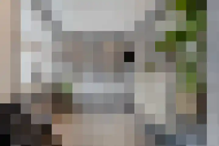 Reesstraat 24 Made thumbnail 17