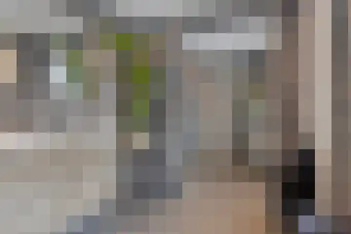 Reesstraat 24 Made thumbnail 19