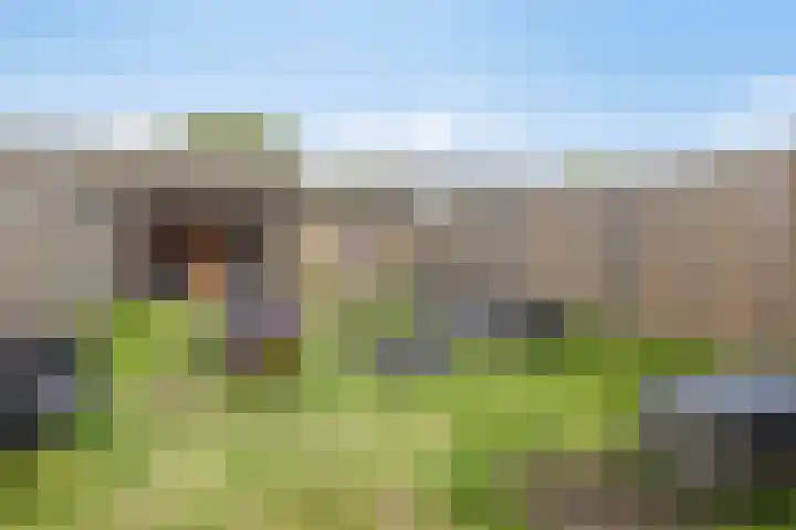 Reesstraat 24 Made thumbnail 22