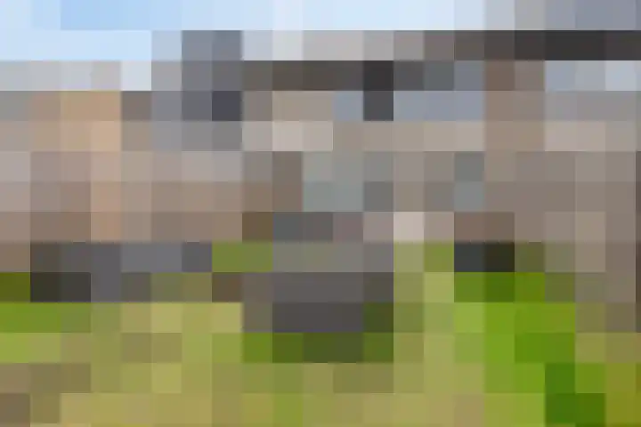 Reesstraat 24 Made thumbnail 24
