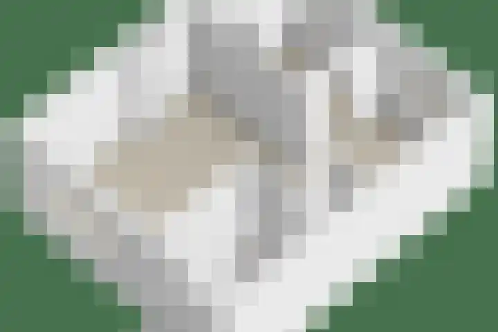 Reesstraat 24 Made thumbnail 35