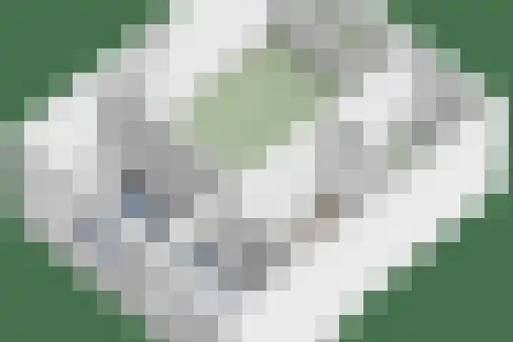 Reesstraat 24 Made thumbnail 36