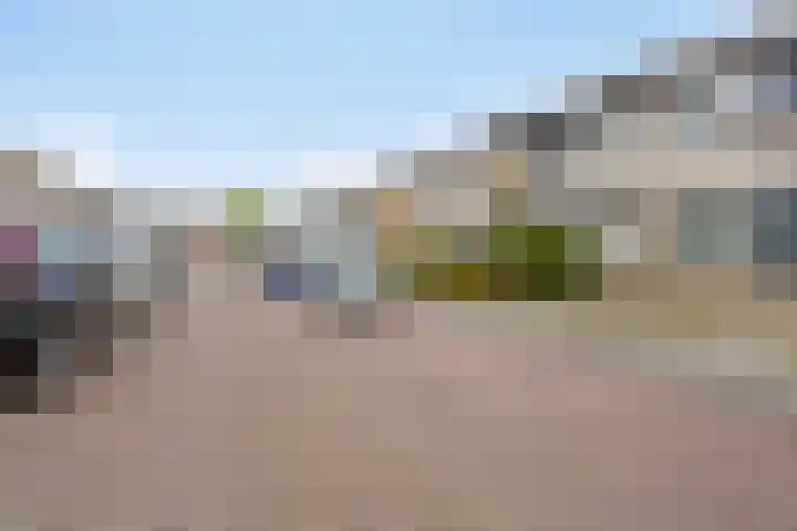 Reesstraat 24 Made thumbnail 4
