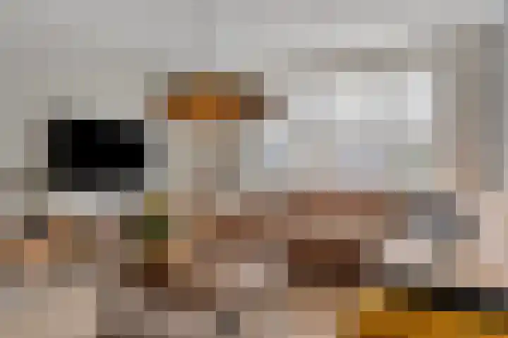 Reesstraat 24 Made thumbnail 6