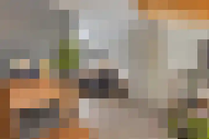 Reesstraat 24 Made thumbnail 7