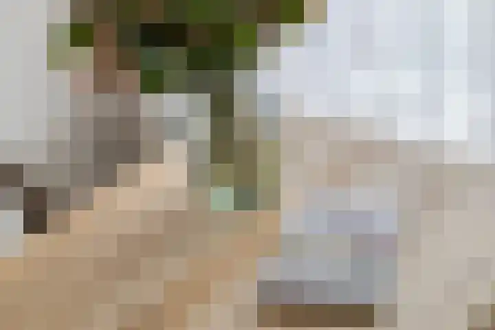 Reesstraat 27 Made thumbnail 12