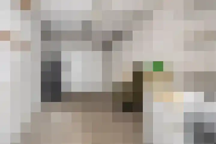 Reesstraat 27 Made thumbnail 30