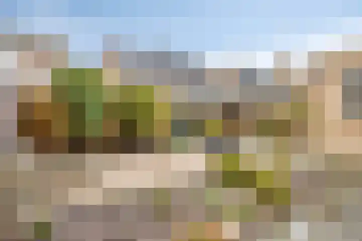 Reesstraat 27 Made thumbnail 32