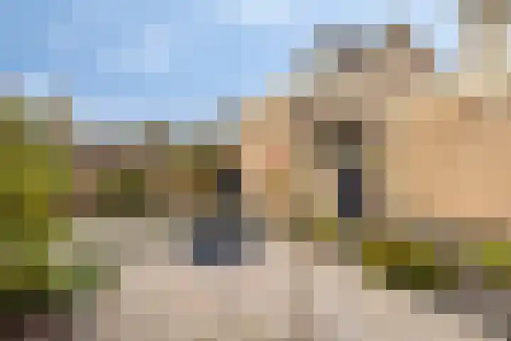 Reesstraat 27 Made thumbnail 33