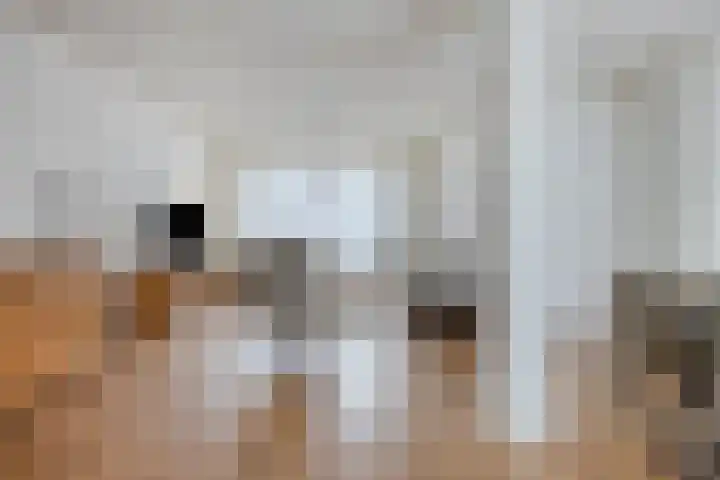 Reesstraat 27 Made thumbnail 8