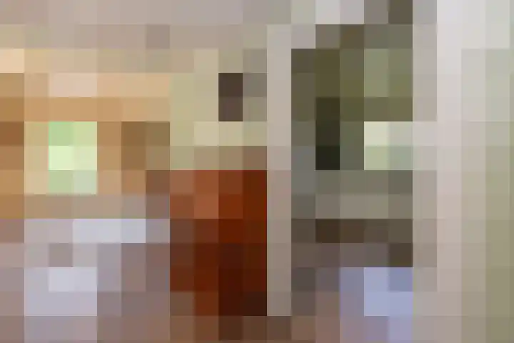 Reest 19 Tilburg thumbnail 12