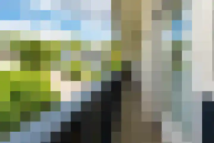 Reest 19 Tilburg thumbnail 25