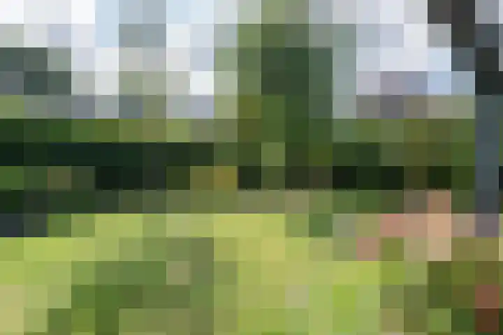 Reest 19 Tilburg thumbnail 32