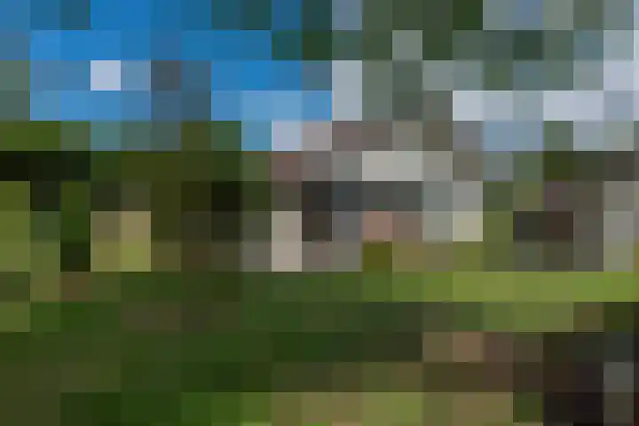 Reest 19 Tilburg thumbnail 33
