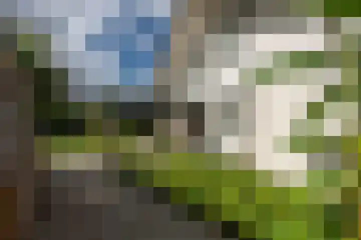 Reest 19 Tilburg thumbnail 34