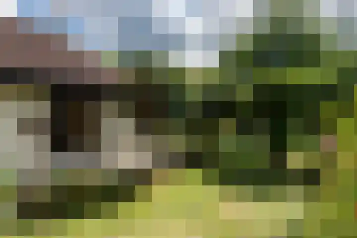 Reest 19 Tilburg thumbnail 35