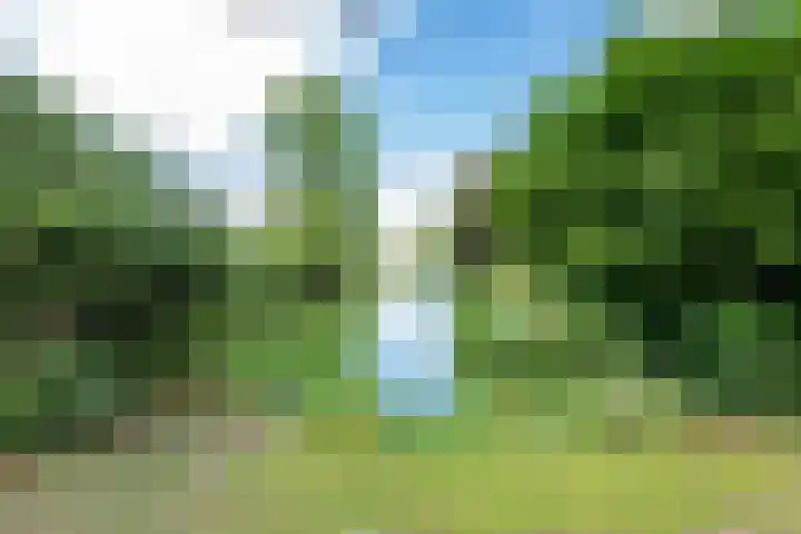 Reest 19 Tilburg thumbnail 37