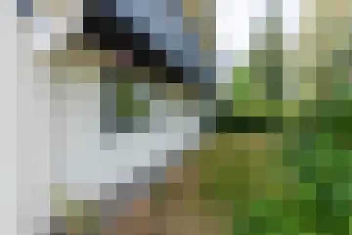 Reest 19 Tilburg thumbnail 8