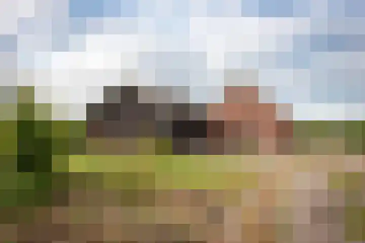 Reesweg 1 A Elburg thumbnail 19