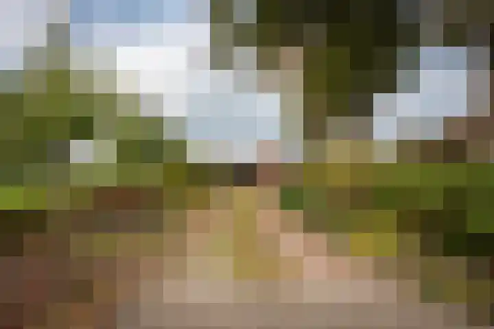 Reesweg 1 A Elburg thumbnail 20