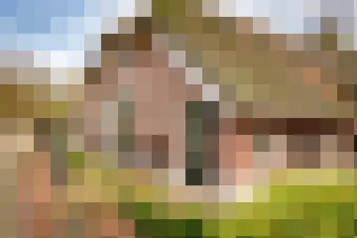 Reesweg 1 A Elburg thumbnail 22