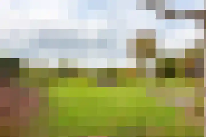 Reesweg 1 A Elburg thumbnail 23