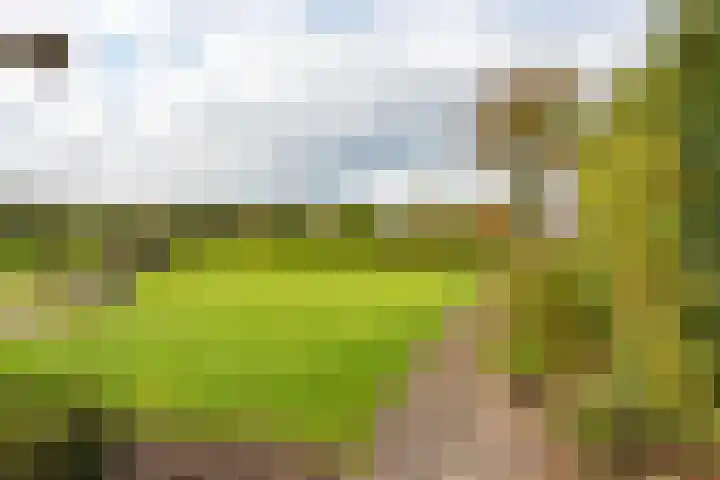 Reesweg 1 A Elburg thumbnail 25