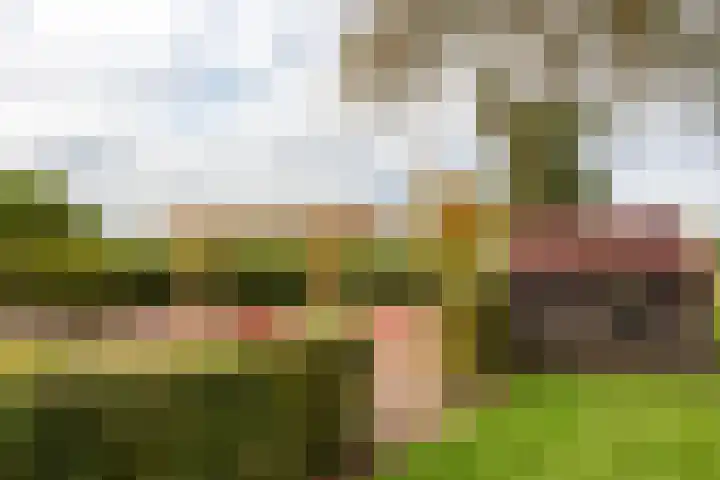 Reesweg 1 A Elburg thumbnail 26