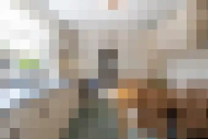 Reeweg 31 Werkendam thumbnail 12