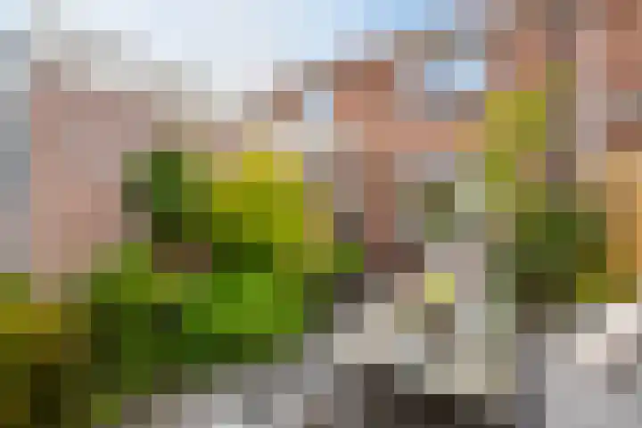 Reeweg 31 Werkendam thumbnail 39