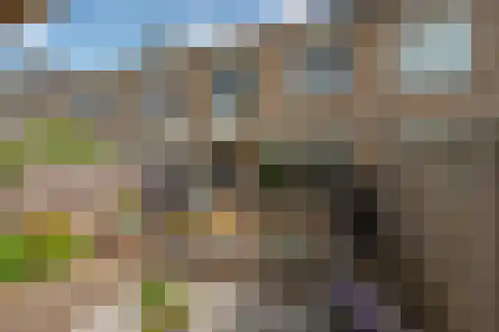 Reeweide 19 Zoetermeer thumbnail 10
