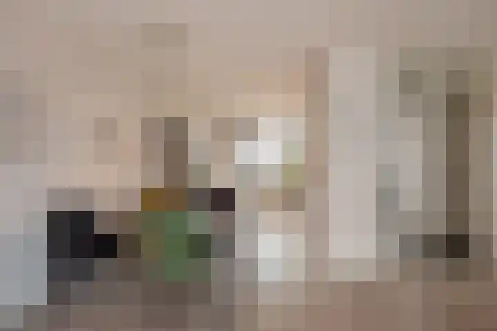 Reeweide 19 Zoetermeer thumbnail 11