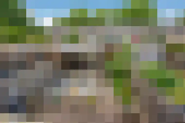Reeweide 19 Zoetermeer thumbnail 20