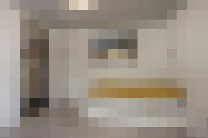 Reeweide 19 Zoetermeer thumbnail 22
