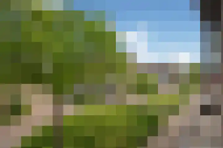 Reeweide 19 Zoetermeer thumbnail 23