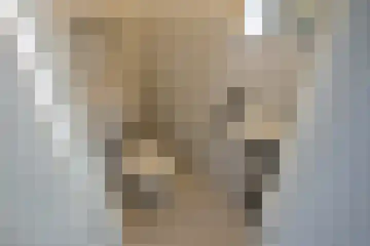 Reeweide 19 Zoetermeer thumbnail 32