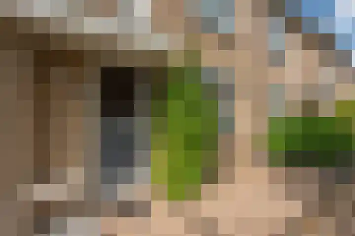 Reeweide 19 Zoetermeer thumbnail 34
