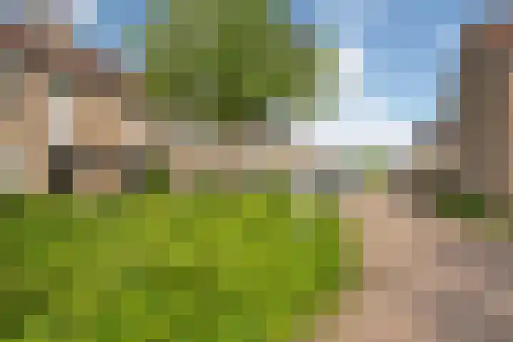 Reeweide 19 Zoetermeer thumbnail 36
