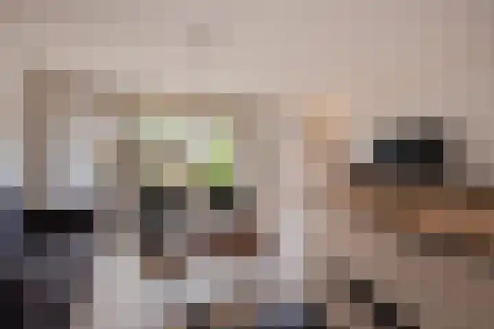 Reeweide 19 Zoetermeer thumbnail 6