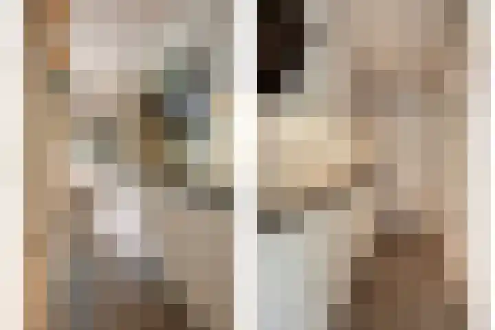 Reewoude 49 Herkenbosch thumbnail 13