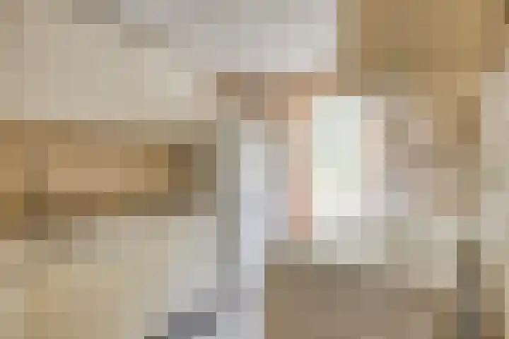 Reewoude 49 Herkenbosch thumbnail 14