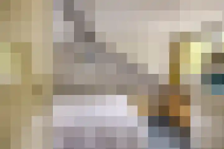 Reewoude 49 Herkenbosch thumbnail 21