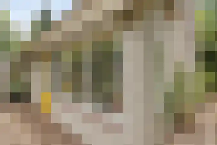 Reewoude 49 Herkenbosch thumbnail 24