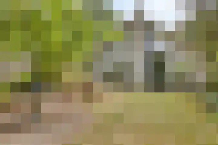 Reewoude 49 Herkenbosch thumbnail 26